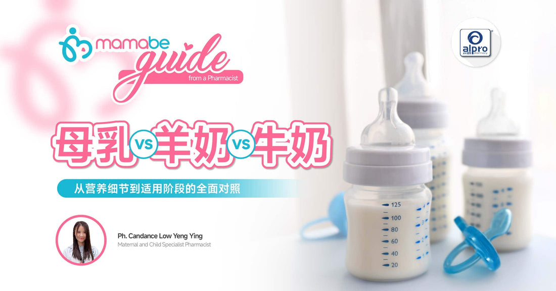 Featured image for 羊奶 VS 牛奶 VS 母乳:从营养细节到适用阶段的全面对照