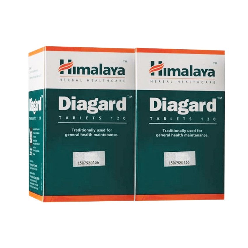 hisamitsu-salonpas-patch-l-size-2s