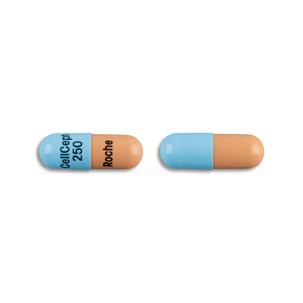 cellcept-cap-250mg-100s