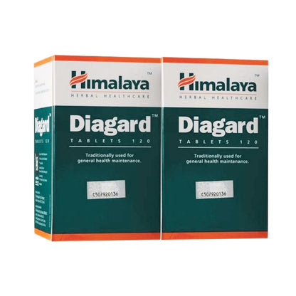 hisamitsu-salonpas-patch-l-size-2s
