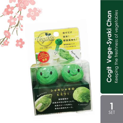 sugi-vegista-vege-syaki-chan