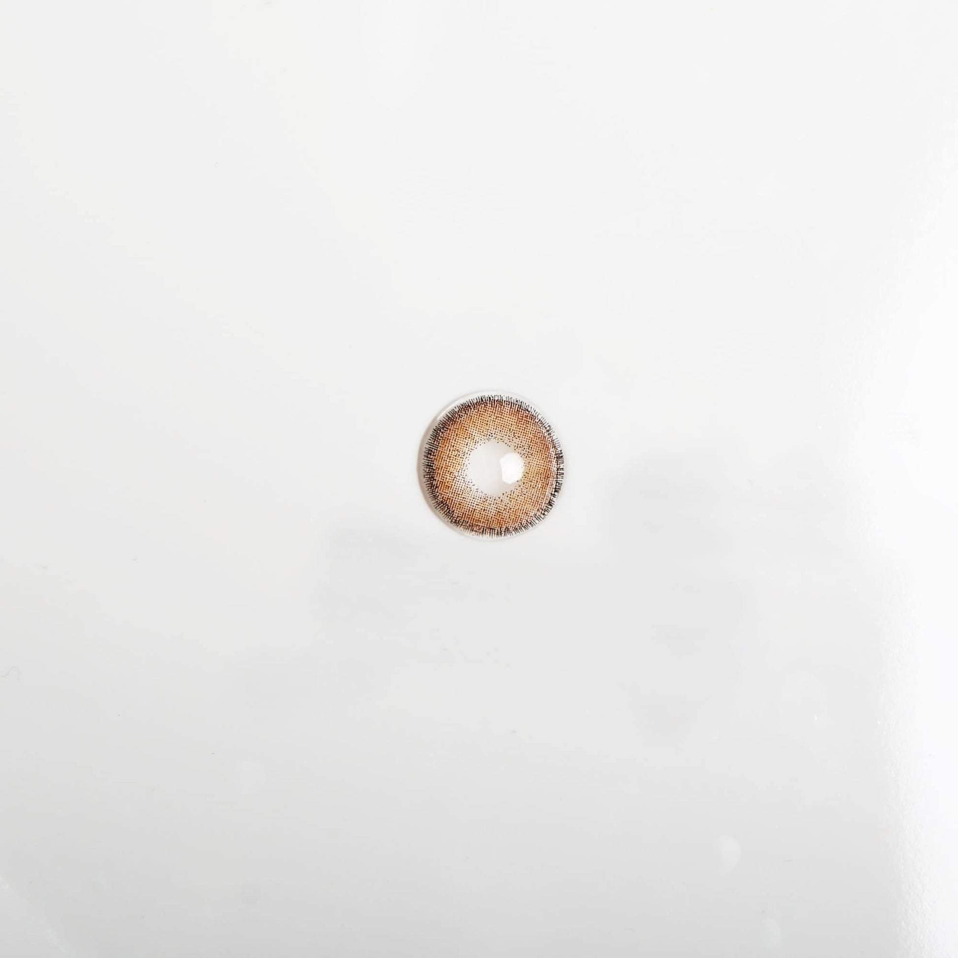 00780636_L_3_1739