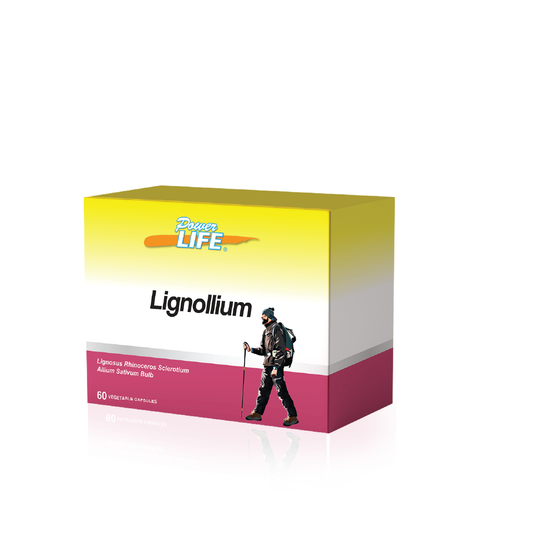 Powerlife Lignollium  6 x 10s | For Sinustis Powerlife