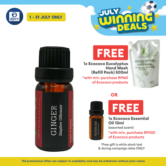 ecococo Ginger Essential Oil 10ml | Helps To Relieve Muscle Pain ecococo
