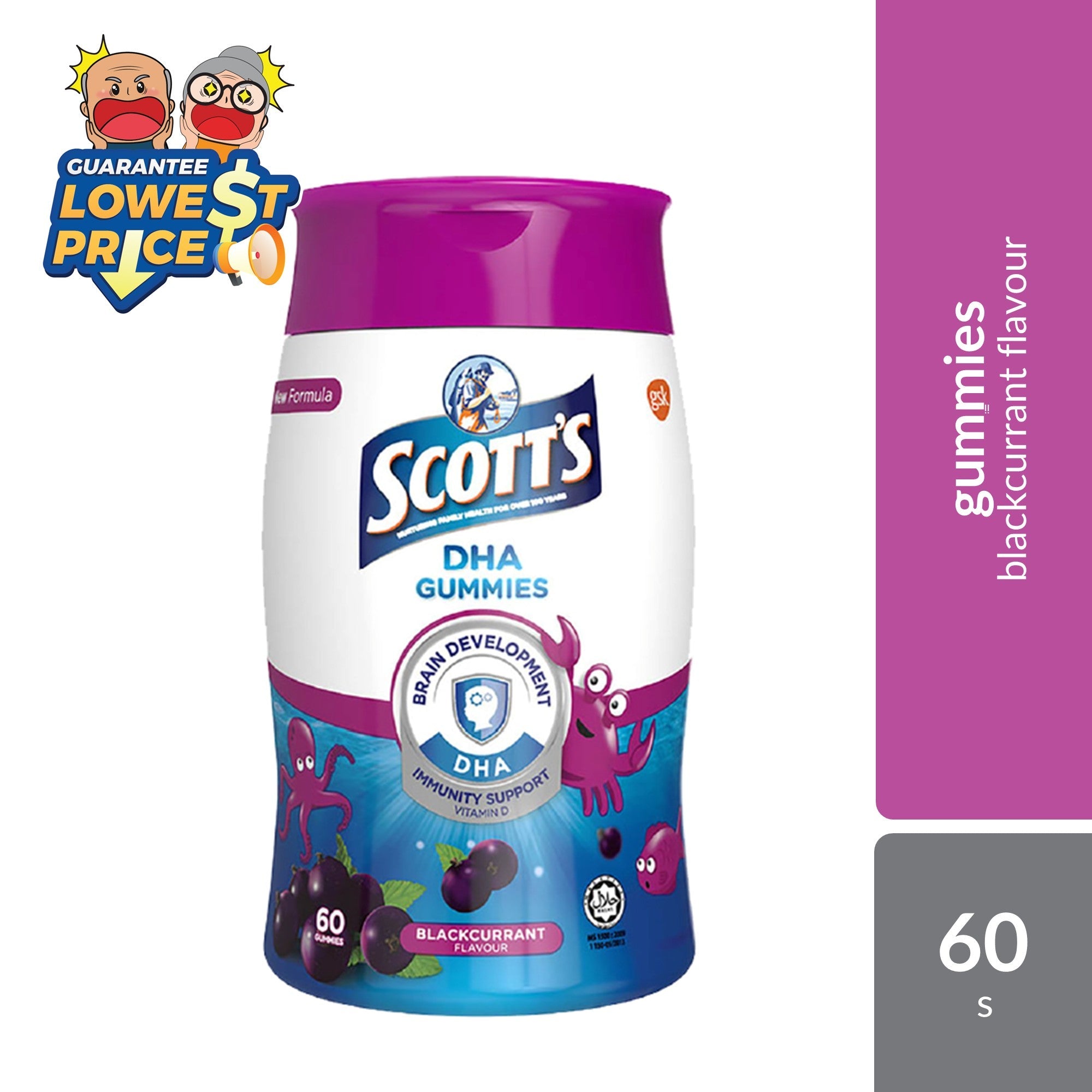 Scotts DHA Gummies Blackcurrant 60s | Brain Health Scotts