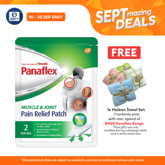 Panaflex Pain Relief Patch 2s Alpro Pharmacy