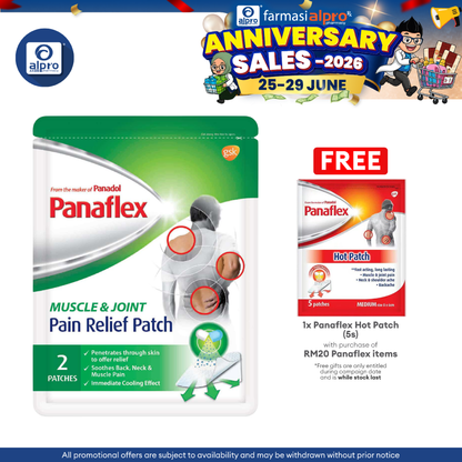 Panaflex Pain Relief Patch 2s Panaflex