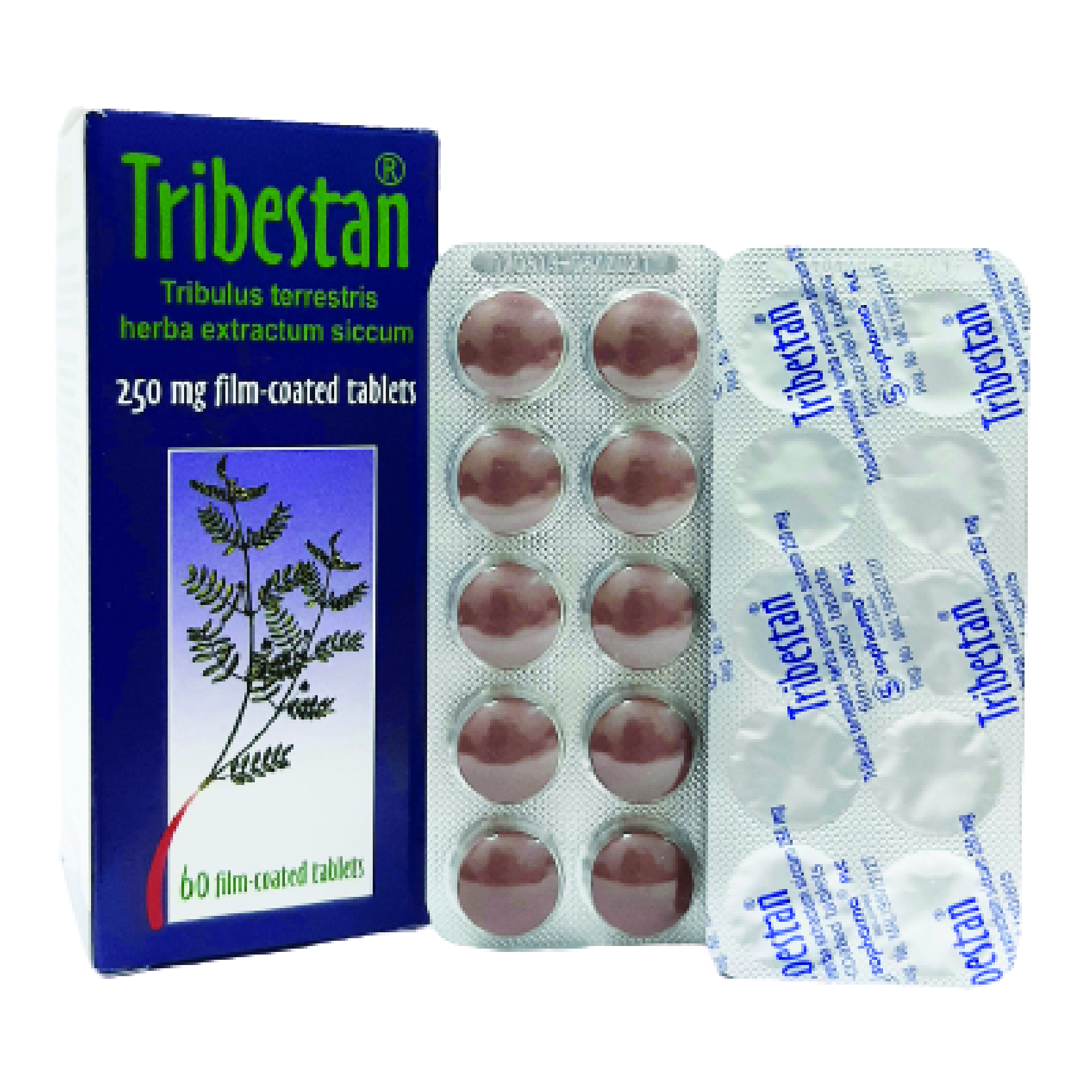 Tribestan - Natural Test Booster by Sopharma 60 Tablets, 250 mg, 30 Servings