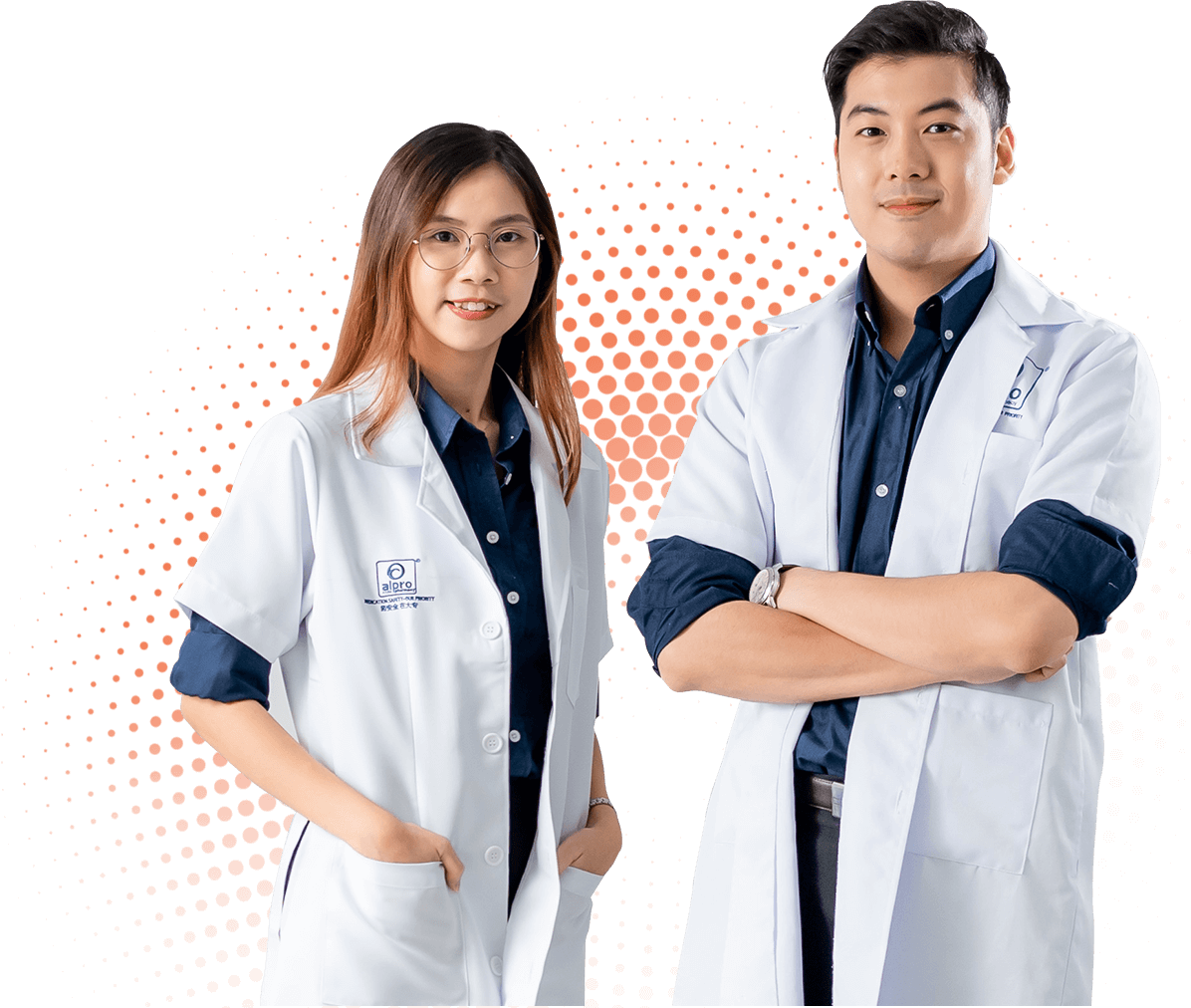 Services Alpro Apps
