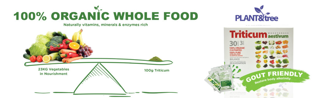Triticum Aestivum Lemon with Honey 4G 30S | Antioxidant Food