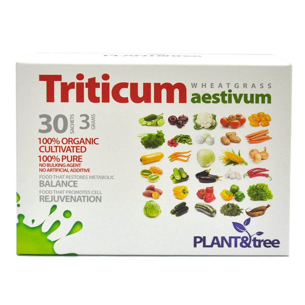 Triticum Aestivum