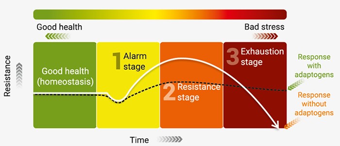 Maintaining high energy during Ramadhan at work can be extremely tough. Learn about fighting Ramadhan Fatigue Syndrome naturally, read here.