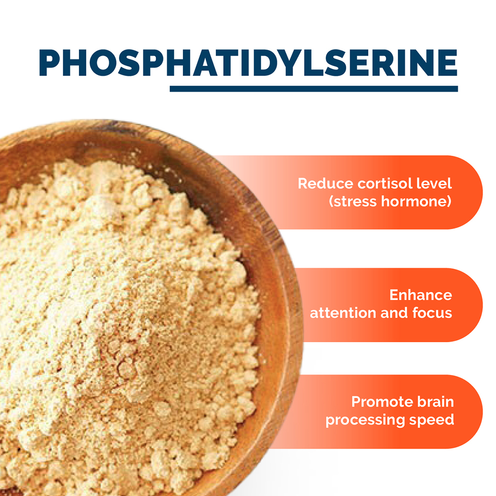 Powerlife Ginkgo Plus Phosphatidylserine 30s - Alpro Pharmacy