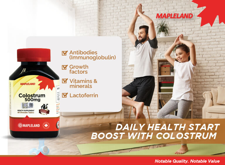 Mapleland Kid Multivitamin Lysine Zinc | Prebiotics Chewable Tablet 6X10S