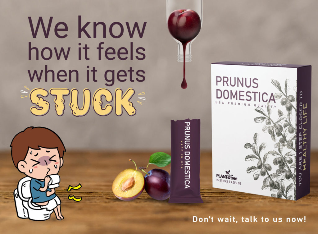 Prunus Domestica 18g 15s | USA Prune Extract for Mum & Baby