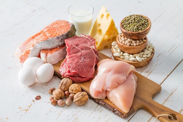 protein food